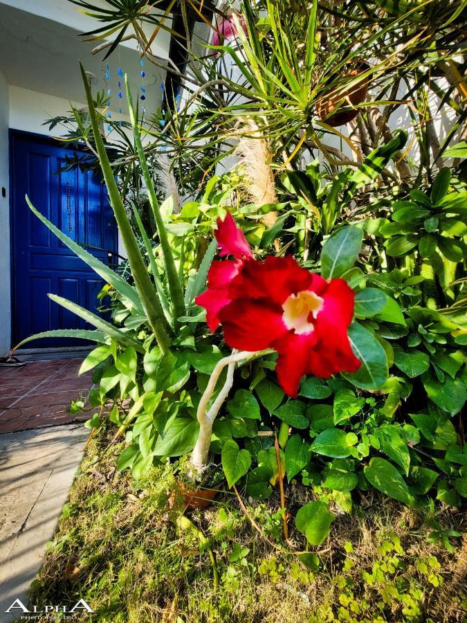 דירות קנקון Tu Casa En El Caribe מראה חיצוני תמונה